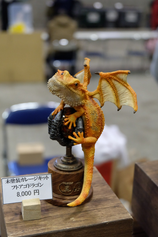 WF2022-winter-098.jpg