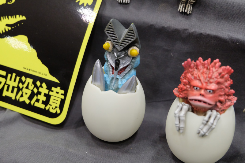 WF2022-winter-138.jpg