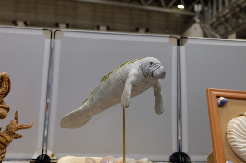 WF2022-winter-142.jpg