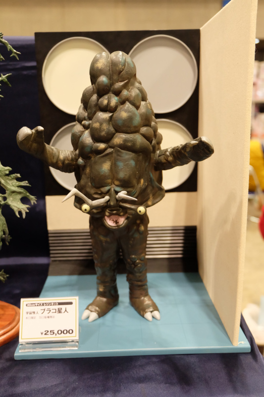 WF2022-winter-154.jpg