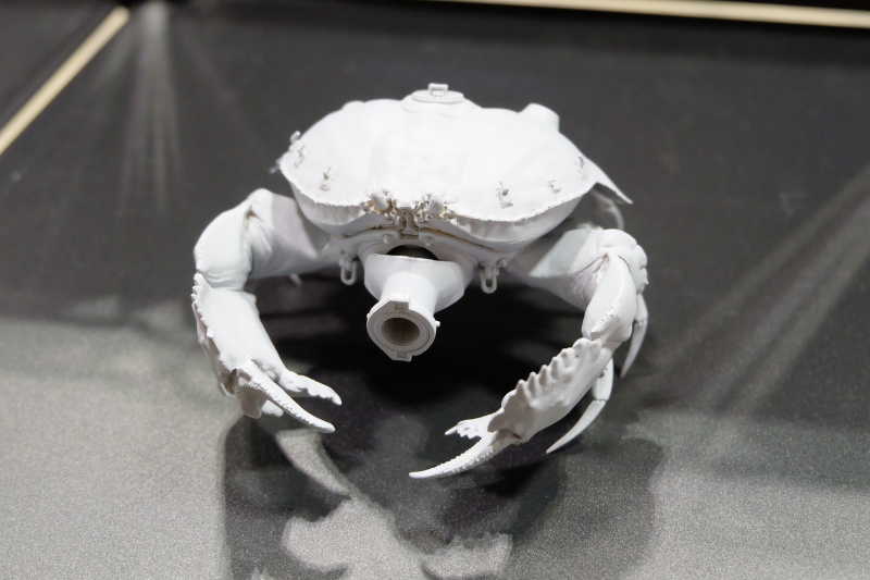 WF2022-winter-183.jpg