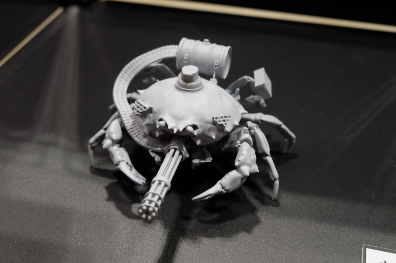 WF2022-winter-184.jpg