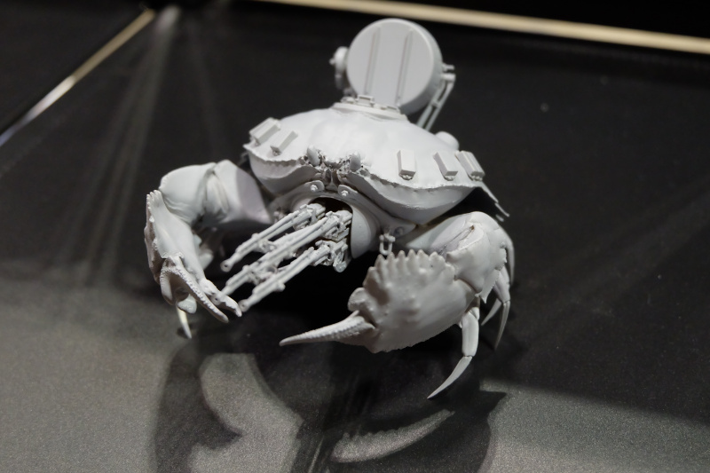 WF2022-winter-185.jpg