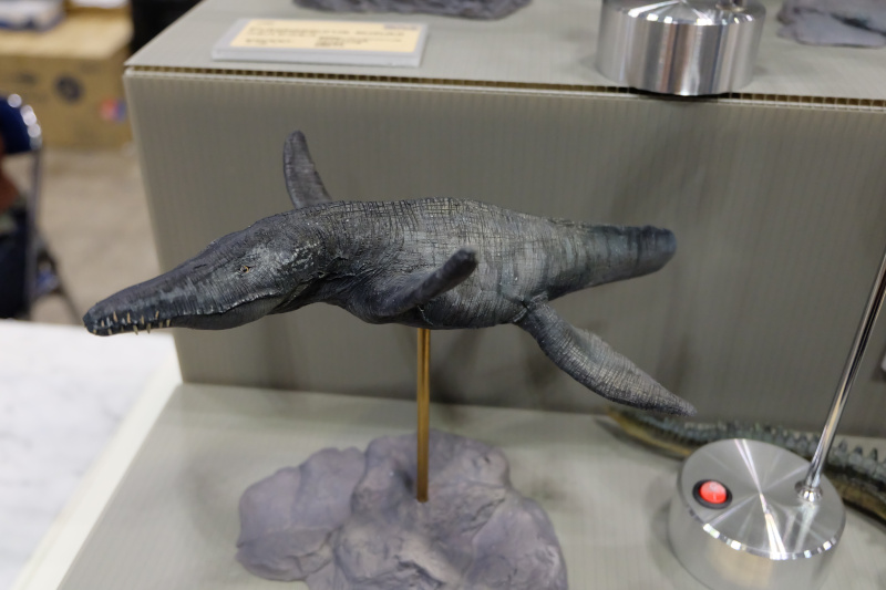 WF2022-winter-188.jpg