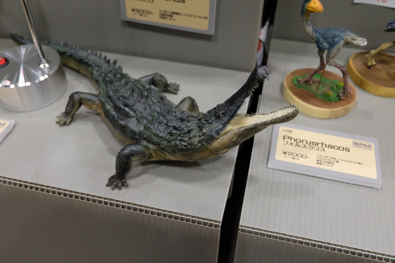 WF2022-winter-189.jpg