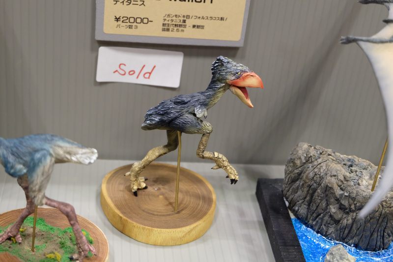 WF2022-winter-191.jpg