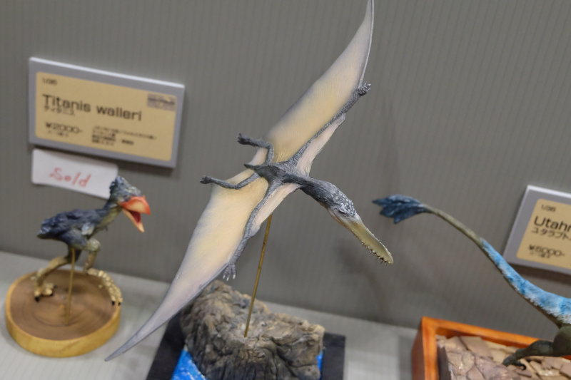WF2022-winter-192.jpg