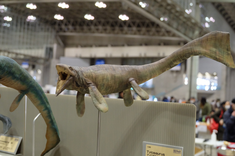 WF2022-winter-194.jpg
