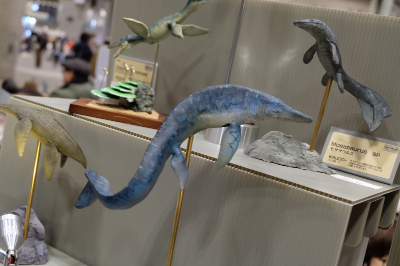 WF2022-winter-196.jpg