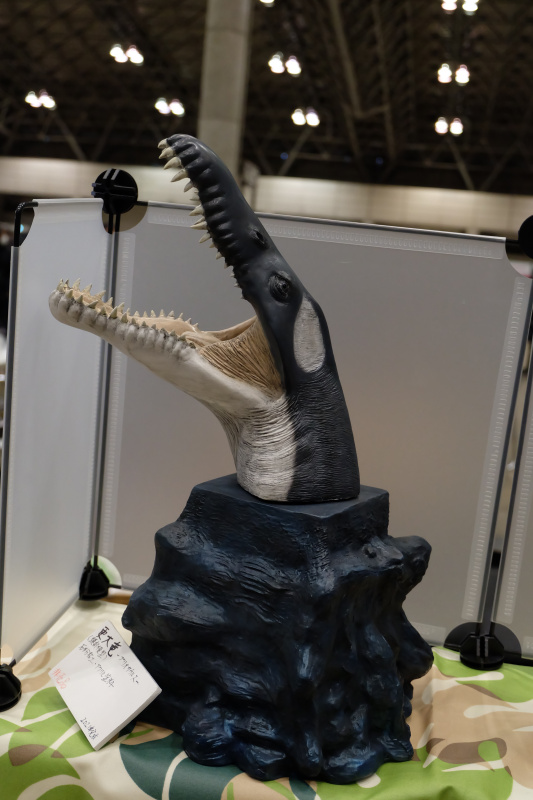 WF2022-winter-206.jpg