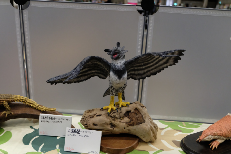 WF2022-winter-208.jpg