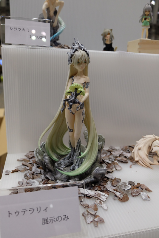 WF2022-winter-218.jpg