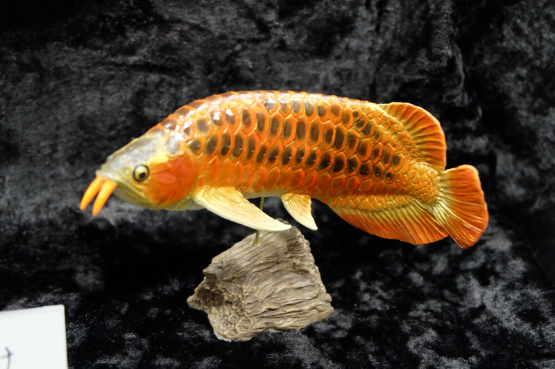 WF2022-winter-244.jpg