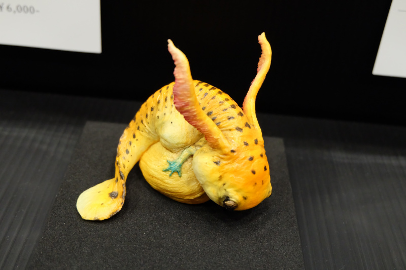 WF2022-winter-255.jpg