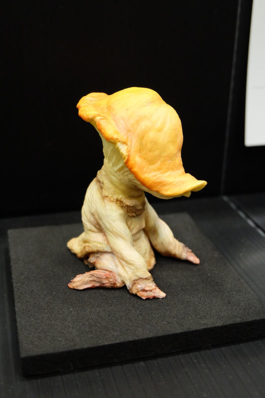 WF2022-winter-260.jpg