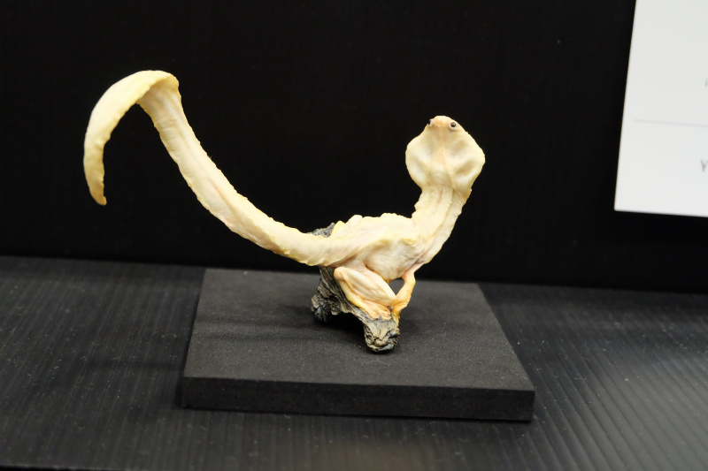 WF2022-winter-264.jpg