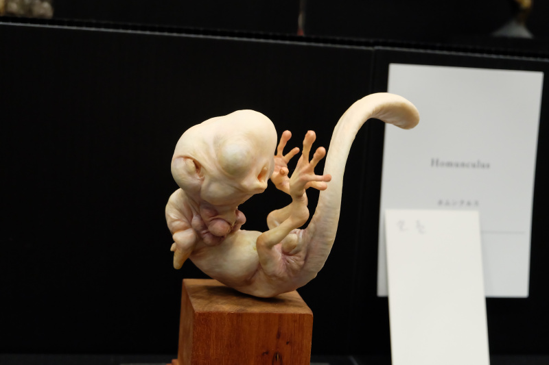 WF2022-winter-265.jpg