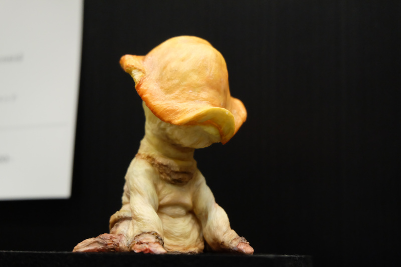 WF2022-winter-270.jpg