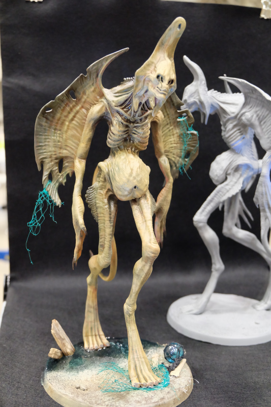 WF2022-winter-294.jpg