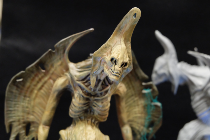 WF2022-winter-295.jpg