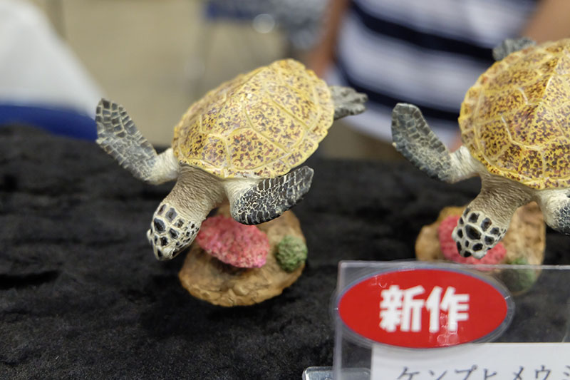 WF2023-summer-051.jpg