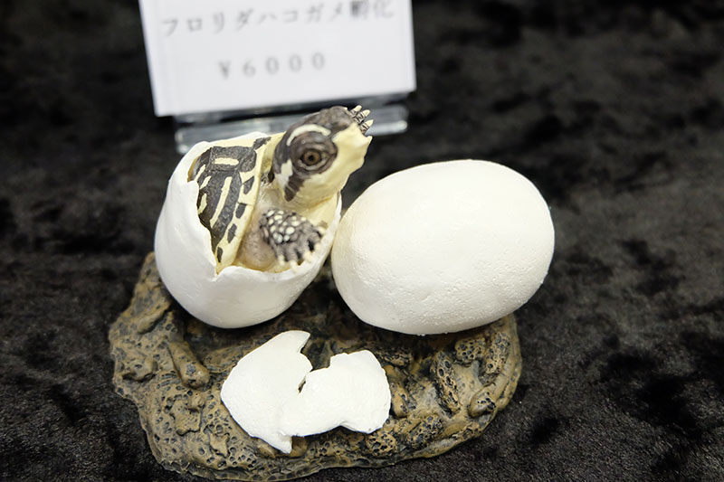 WF2023-summer-053.jpg