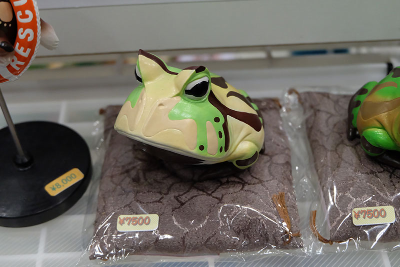 WF2023-summer-061.jpg