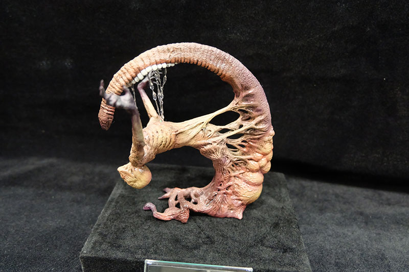 WF2023-summer-226.jpg