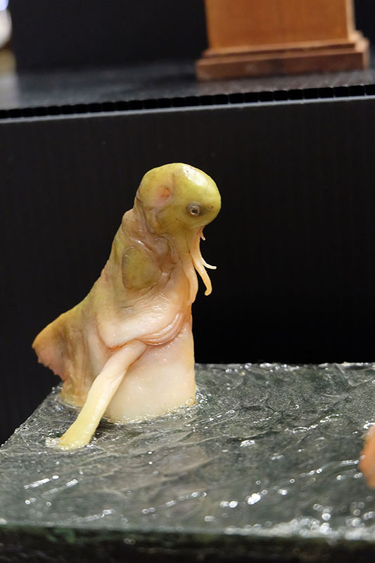 WF2023-summer-270.jpg