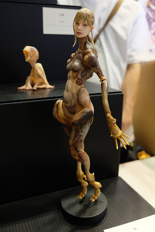 WF2023-summer-271.jpg