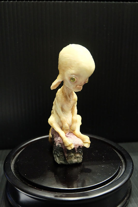 WF2023-winter-040.jpg