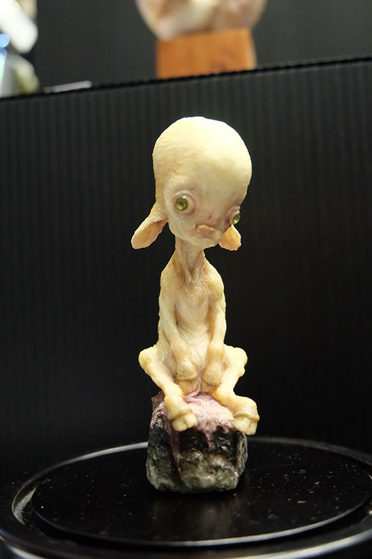 WF2023-winter-041.jpg