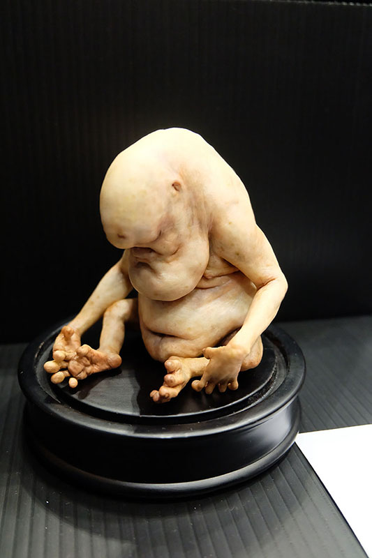 WF2023-winter-042.jpg