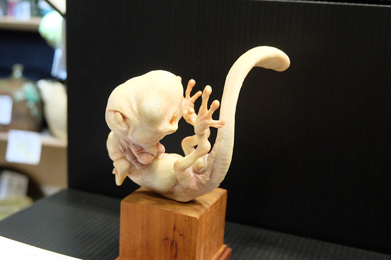 WF2023-winter-044.jpg