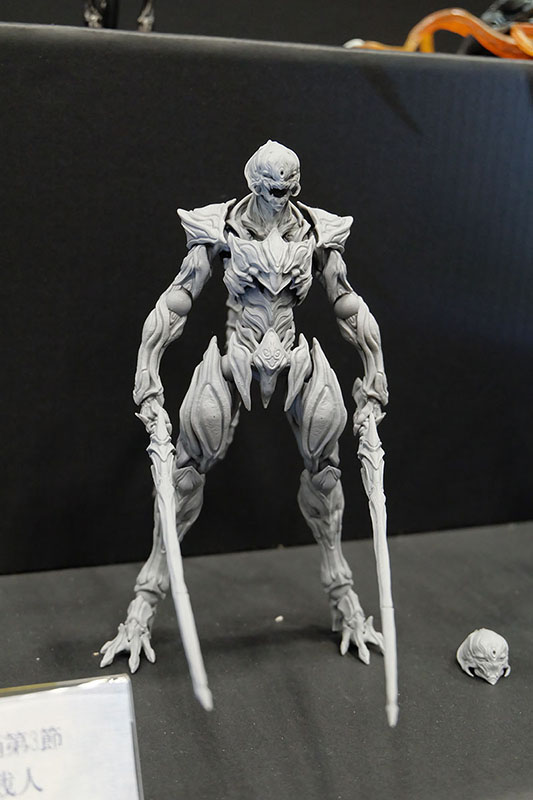 WF2023-winter-158.jpg
