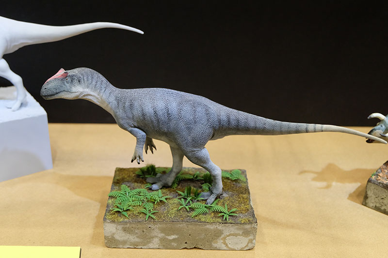 WF2023-winter-206.jpg