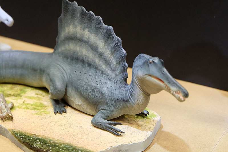 WF2023-winter-208.jpg