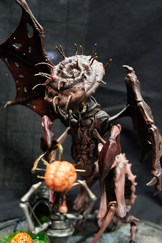 WF2023-winter-314.jpg
