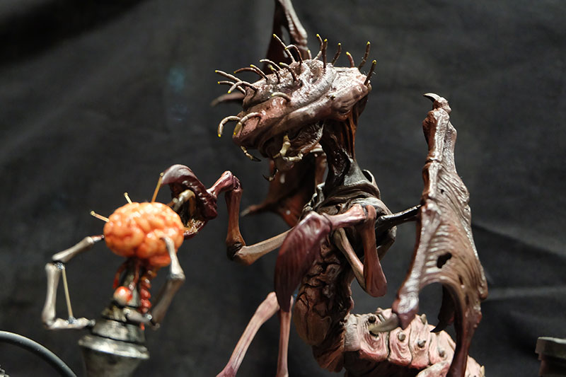 WF2023-winter-315.jpg