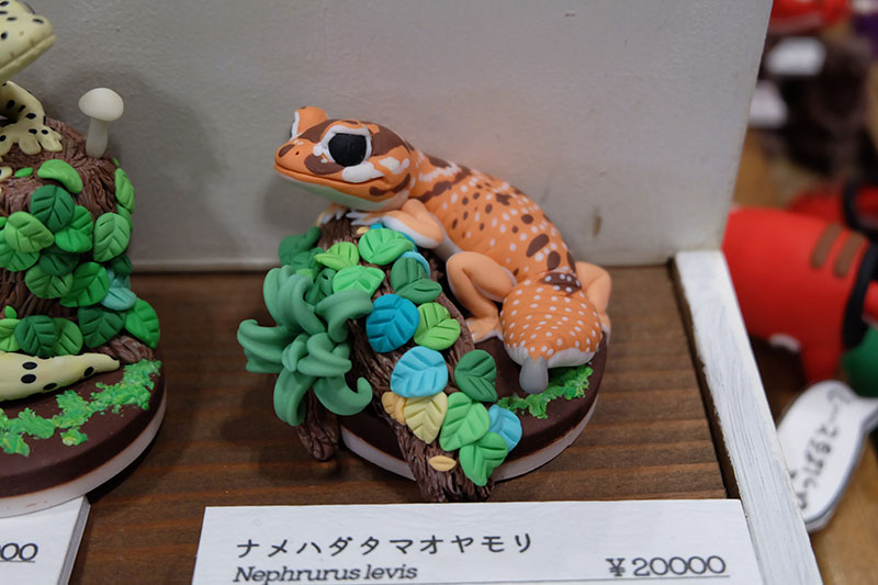 WF2023-winter-352.jpg