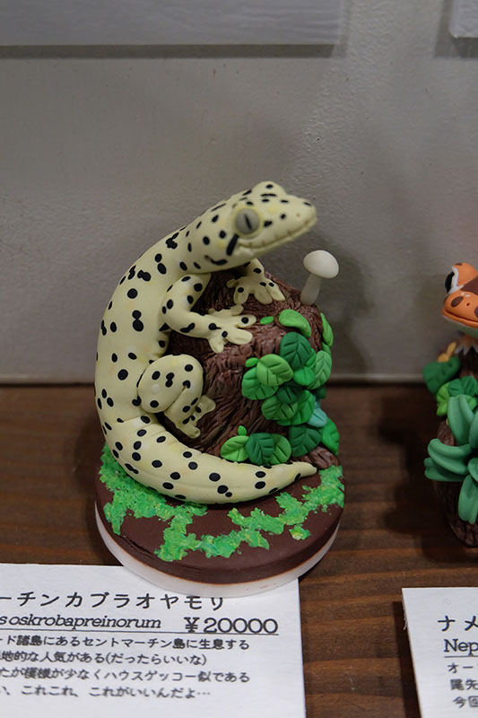 WF2023-winter-353.jpg