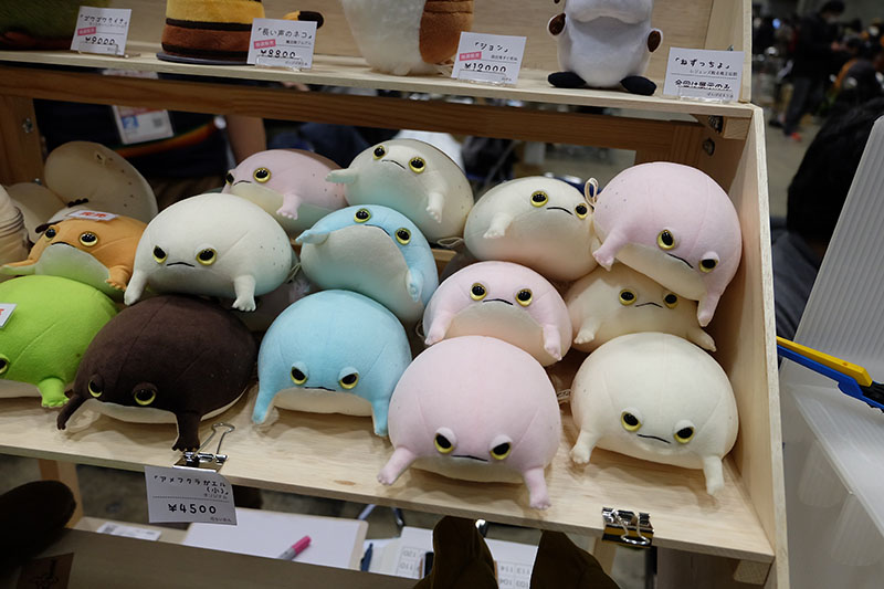 WF2024-winter-087.jpg