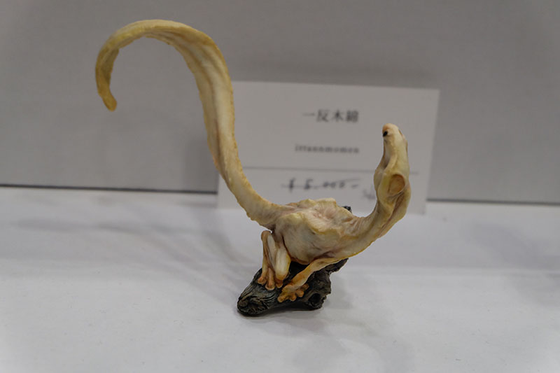 WF2024-winter-148.jpg