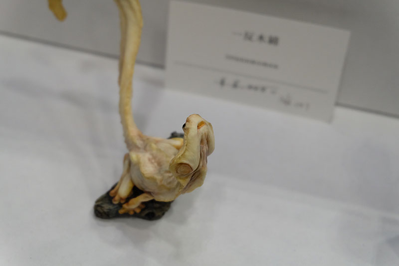 WF2024-winter-149.jpg