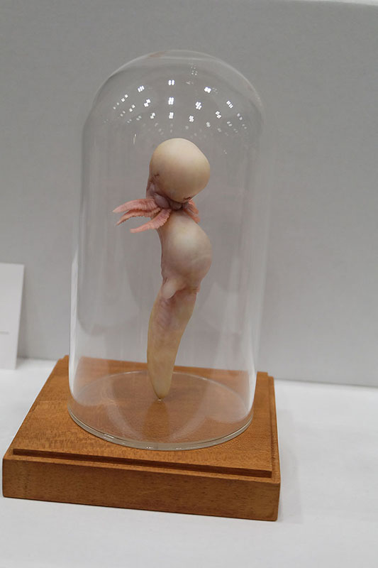 WF2025-summer-041.jpg