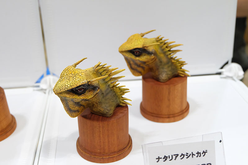WF2025-summer-238.jpg