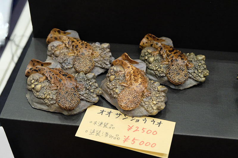 WF2026-winter-060.jpg
