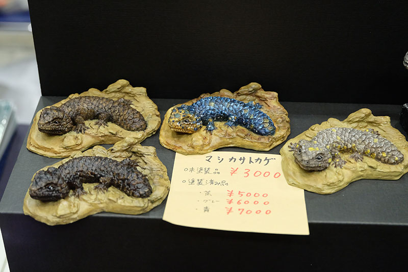 WF2026-winter-061.jpg