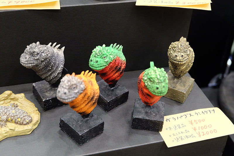 WF2026-winter-064.jpg