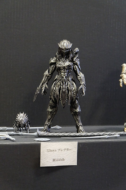 WF2026-winter-116.jpg